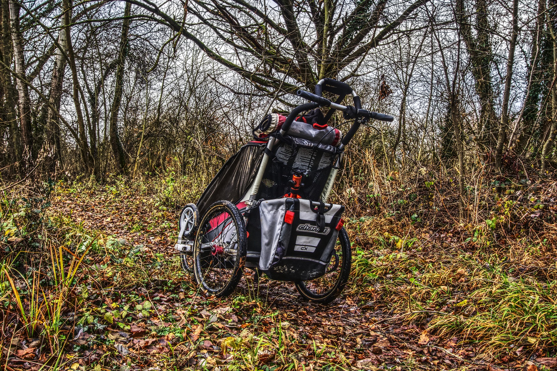 SAMAX PREMIUM Fahrradanh/änger Jogger 2in1 360/° drehbar Kinderanh/änger Kinderfahrradanh/änger Transportwagen vollgefederte Hinterachse f/ür 2 Kinder in Gr/ün//Grau Silver Frame