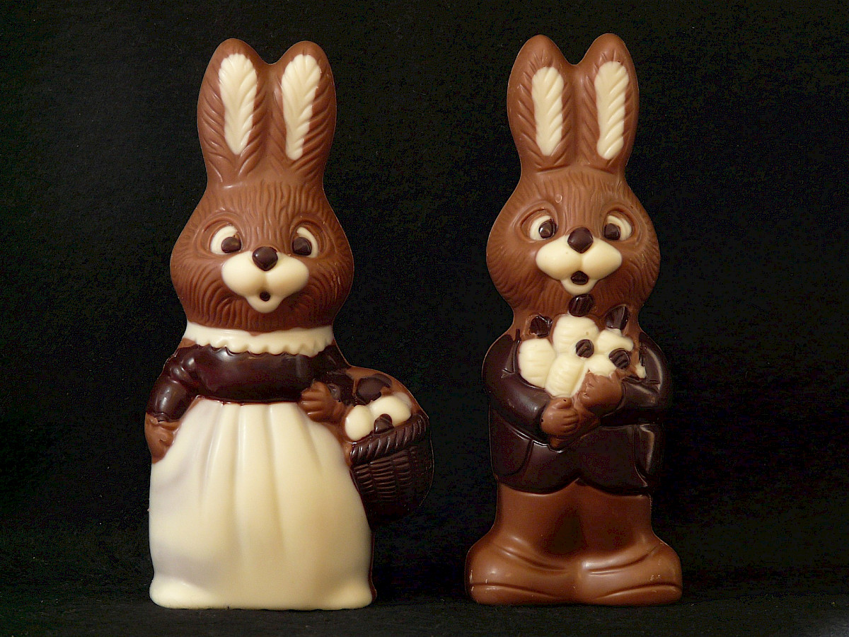Die TOP Schokolade Osterhasen 2024